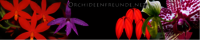 Logo Orchideenfreunde